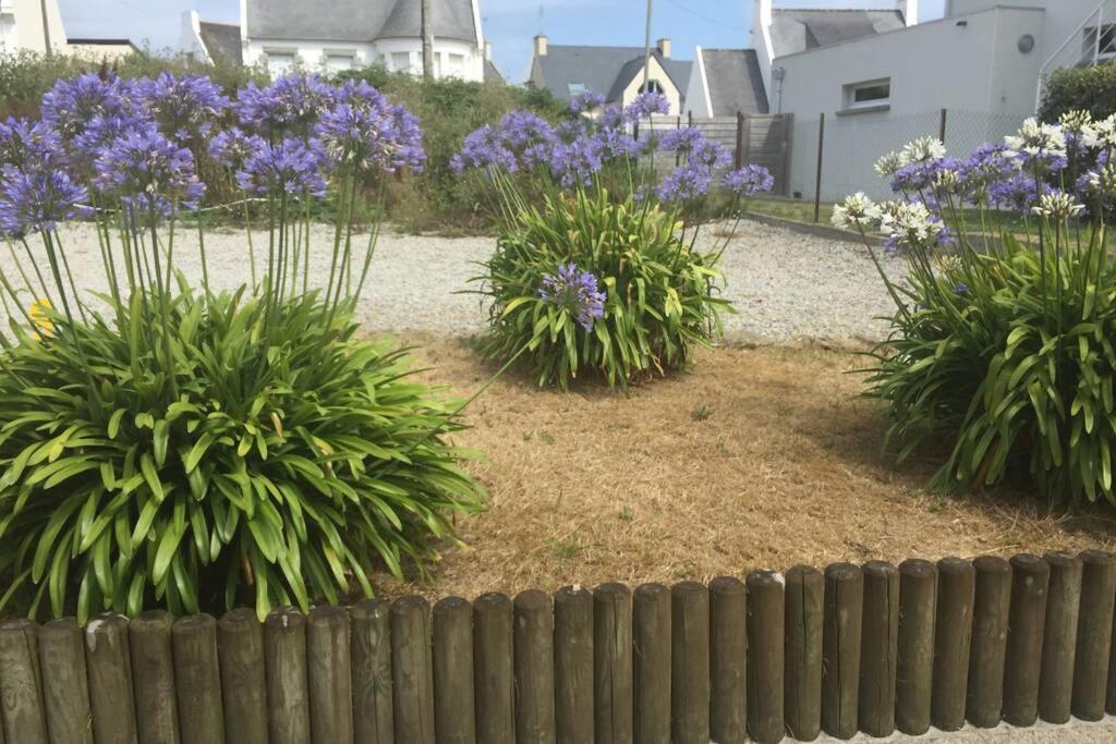 Pied A Terre Pour Des Vacances Au Bord De La Mer Le Conquet Exterior photo